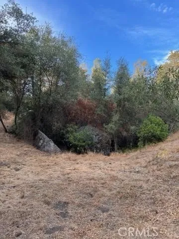 4116 Silver Bar Rd., Mariposa, California 95338