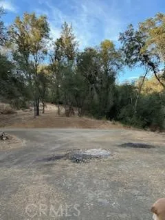 4116 Silver Bar Rd., Mariposa, California 95338