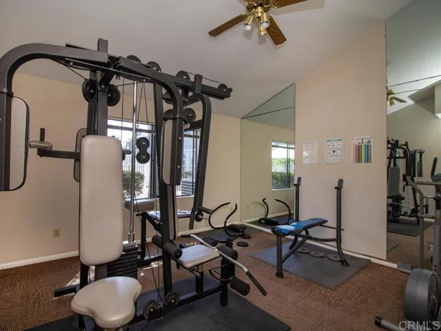 Community Gym