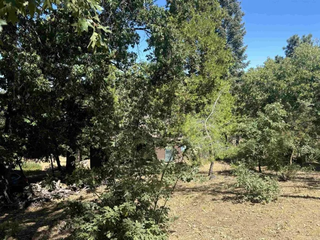 761 Boiling Springs Tract Lo, Mount Laguna, California 91948