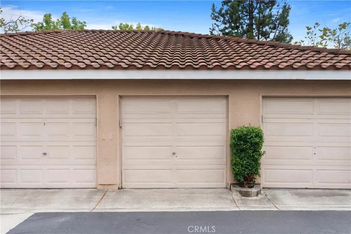 19 Cinnamon Teal, Aliso Viejo, California 92656