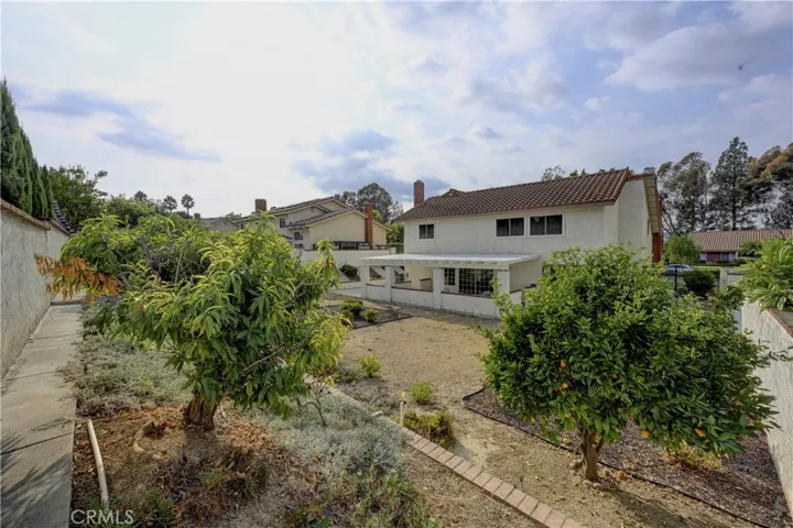 A variety of fruit trees are in the spacious backyard.