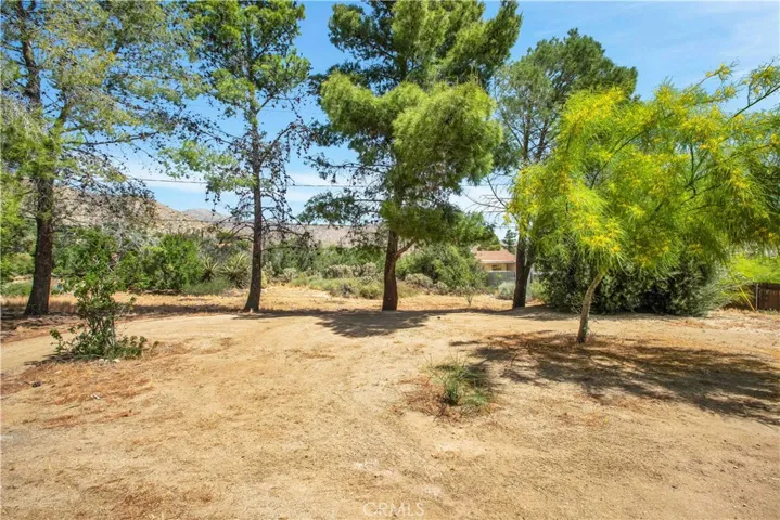 49020 Tamarisk Drive, Morongo Valley, California 92256