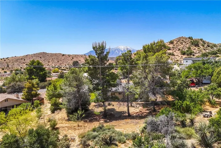 49020 Tamarisk Drive, Morongo Valley, California 92256