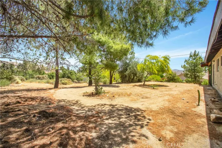 49020 Tamarisk Drive, Morongo Valley, California 92256