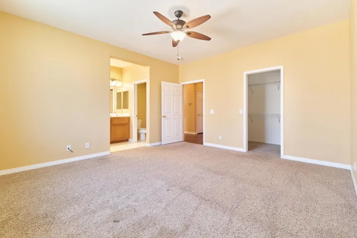 65470BurrowingOwl,DHS23