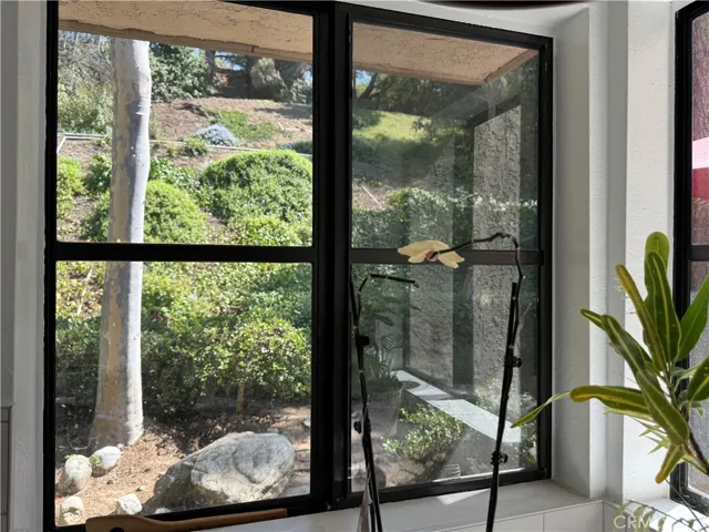 View from kitchen window