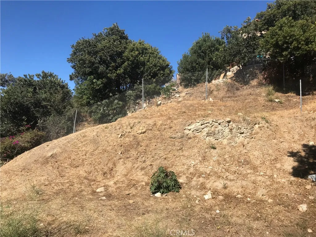 Lot -  Brush clearance area