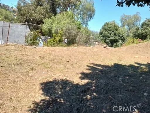 Lot after Brush clearance