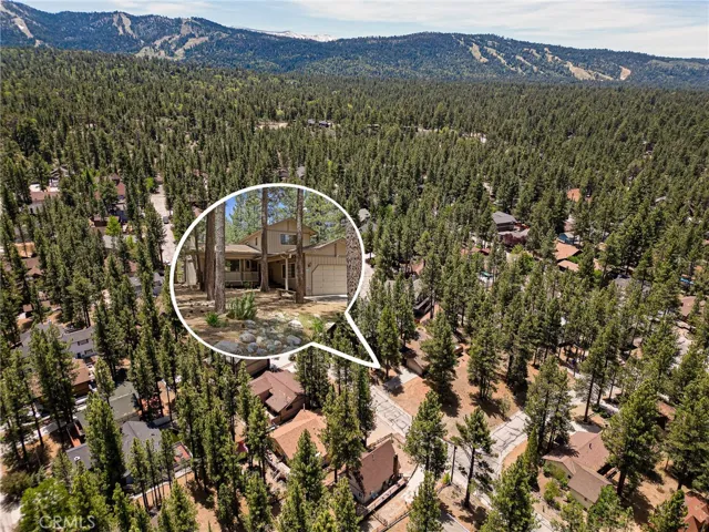 423 Pine View Drive, Big Bear City, California 92314