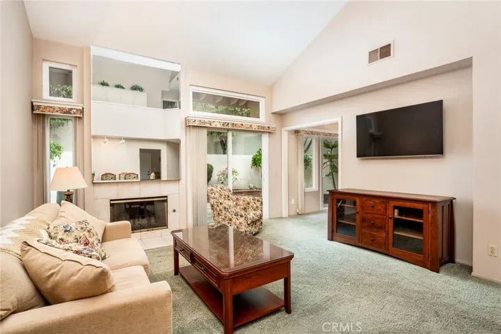Large Living Room
