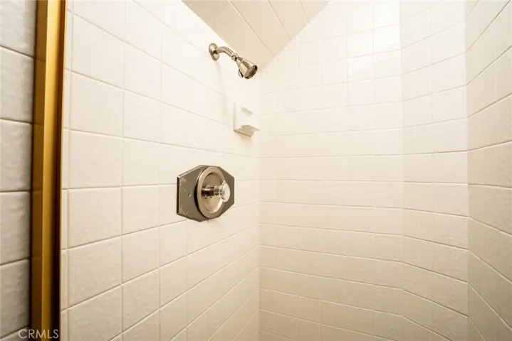 Downstairs Shower