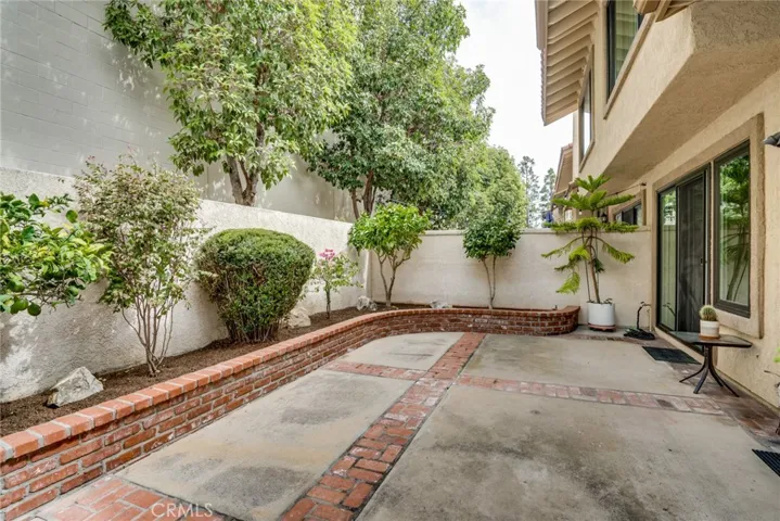Quiet, Private Patio with Citrus Trees