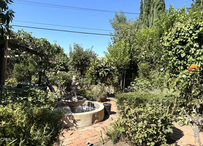 1050Hillview_Back