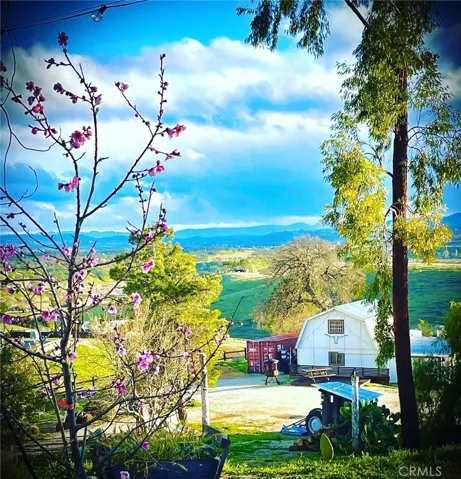 Paso in Spring