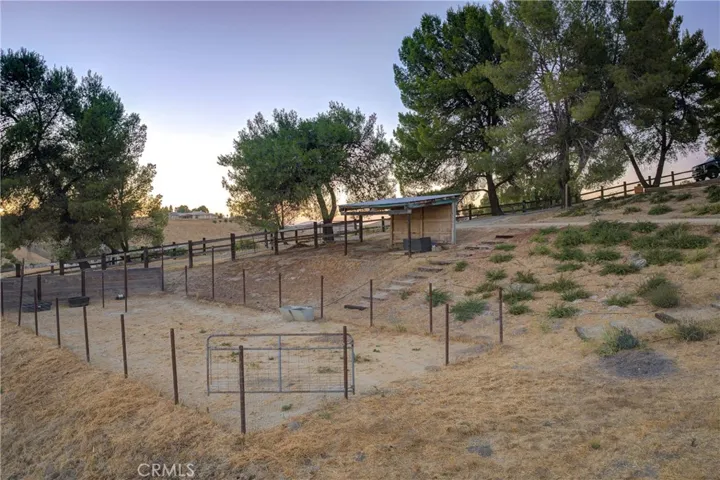 Horse pasture