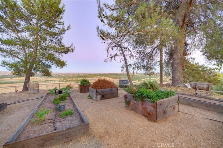 Exterior garden