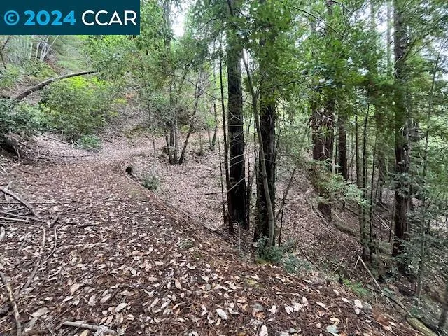 16631 Watson Road, Guerneville, California 95446