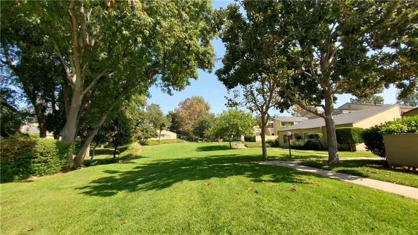 Lots of Room to Walk and Play