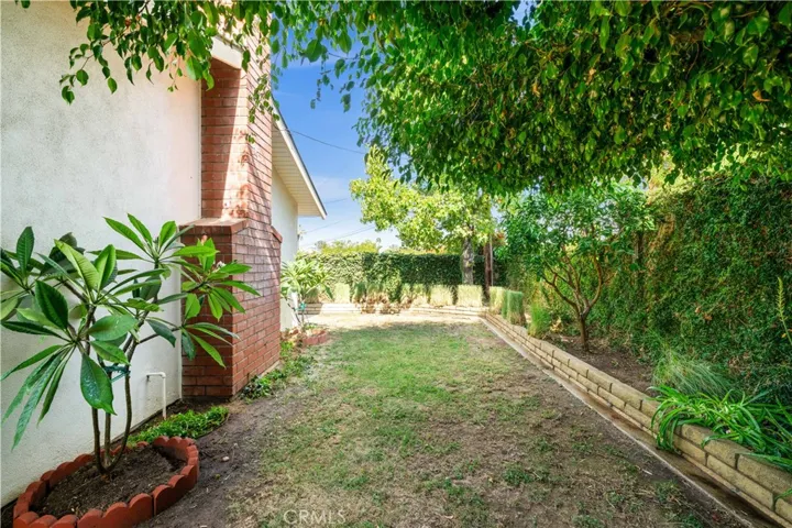 Backyard 4