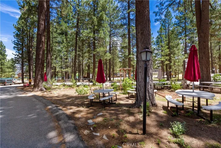 475 Thrush Drive 67, Big Bear Lake, California 92315
