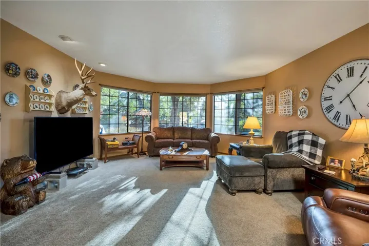 Spacious Living Room