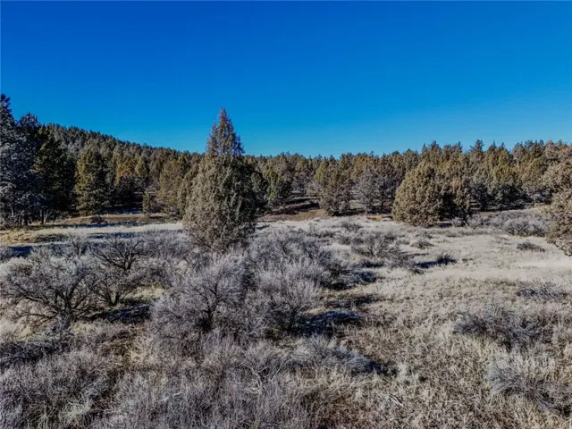 0 Cayote Drive, Alturas, California 96101