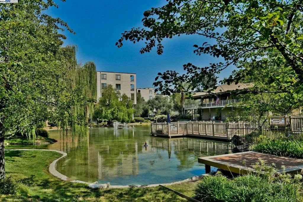 460 N Civic Dr 305, Walnut Creek, California 94596 home-pic-29