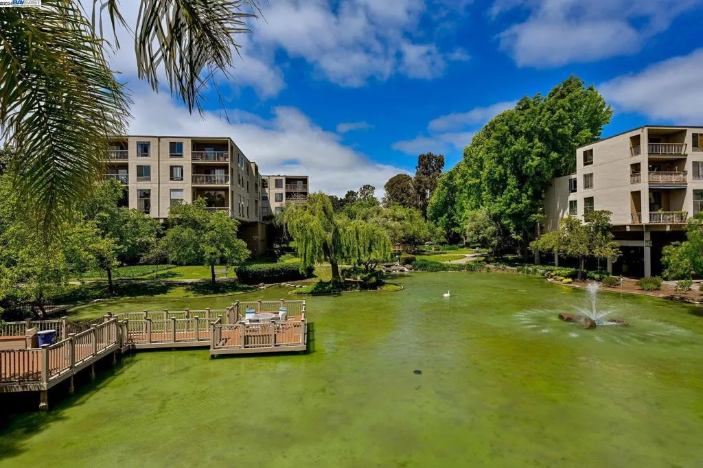 460 N Civic Dr 305, Walnut Creek, California 94596 home-pic-18