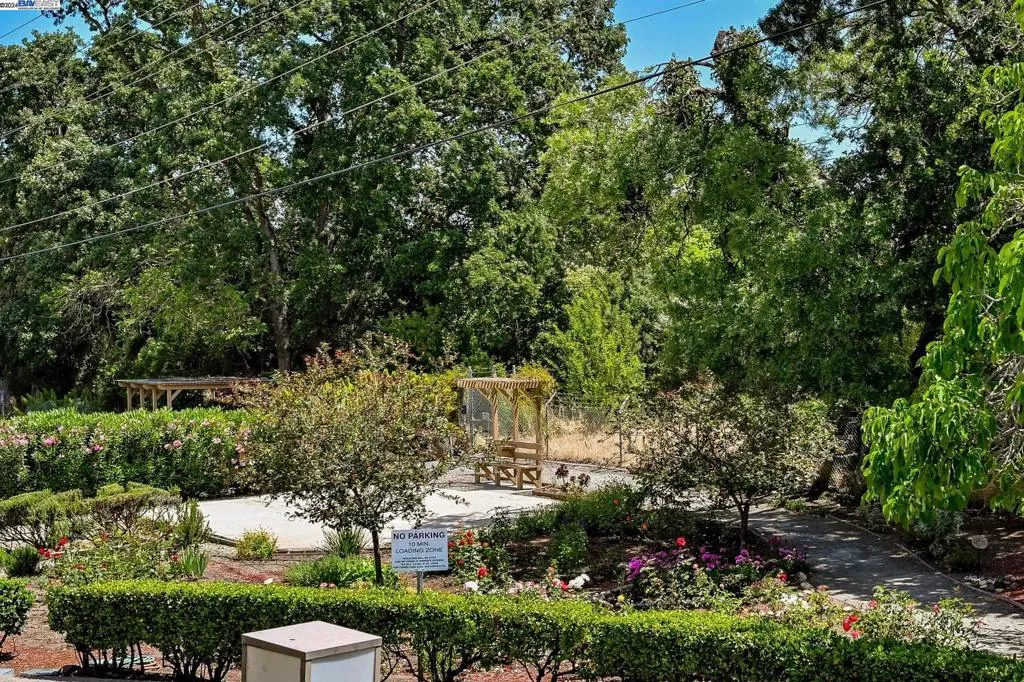 460 N Civic Dr 305, Walnut Creek, California 94596 home-pic-22