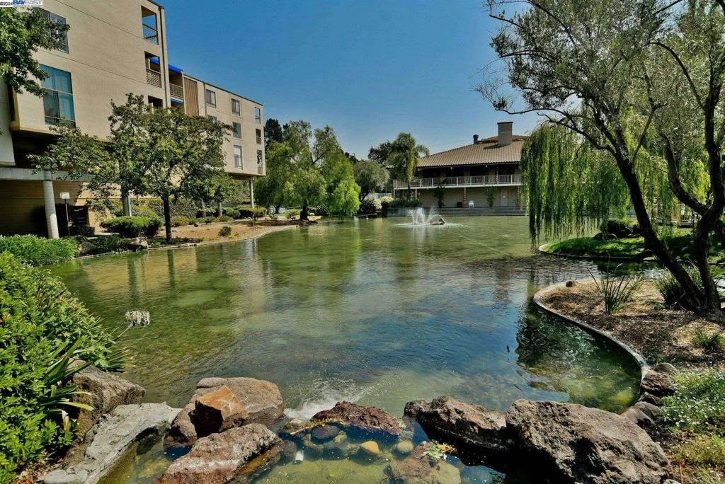460 N Civic Dr 305, Walnut Creek, California 94596 home-pic-31