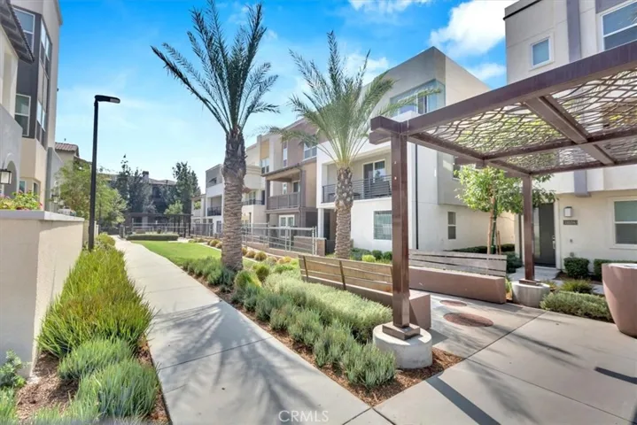 Community Dod Park