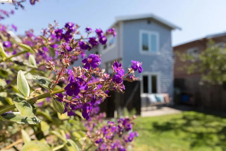 1818 Curtis, Berkeley, California 94702