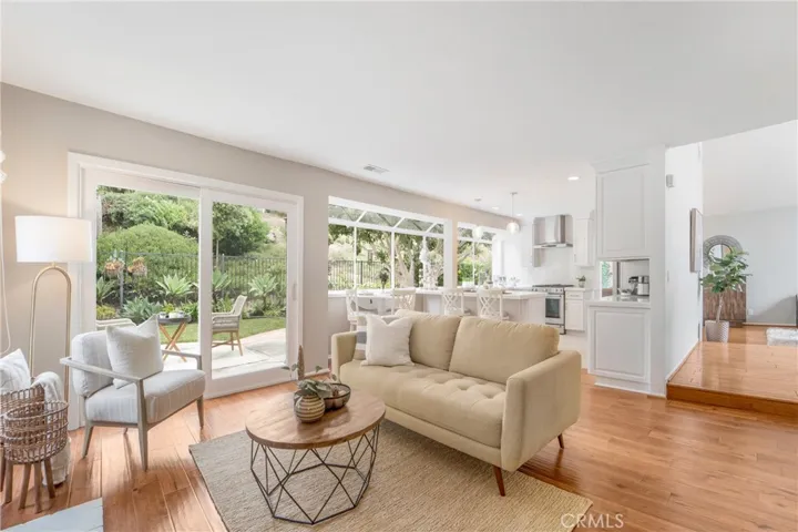 25161 Danabirch, Dana Point, California 92629