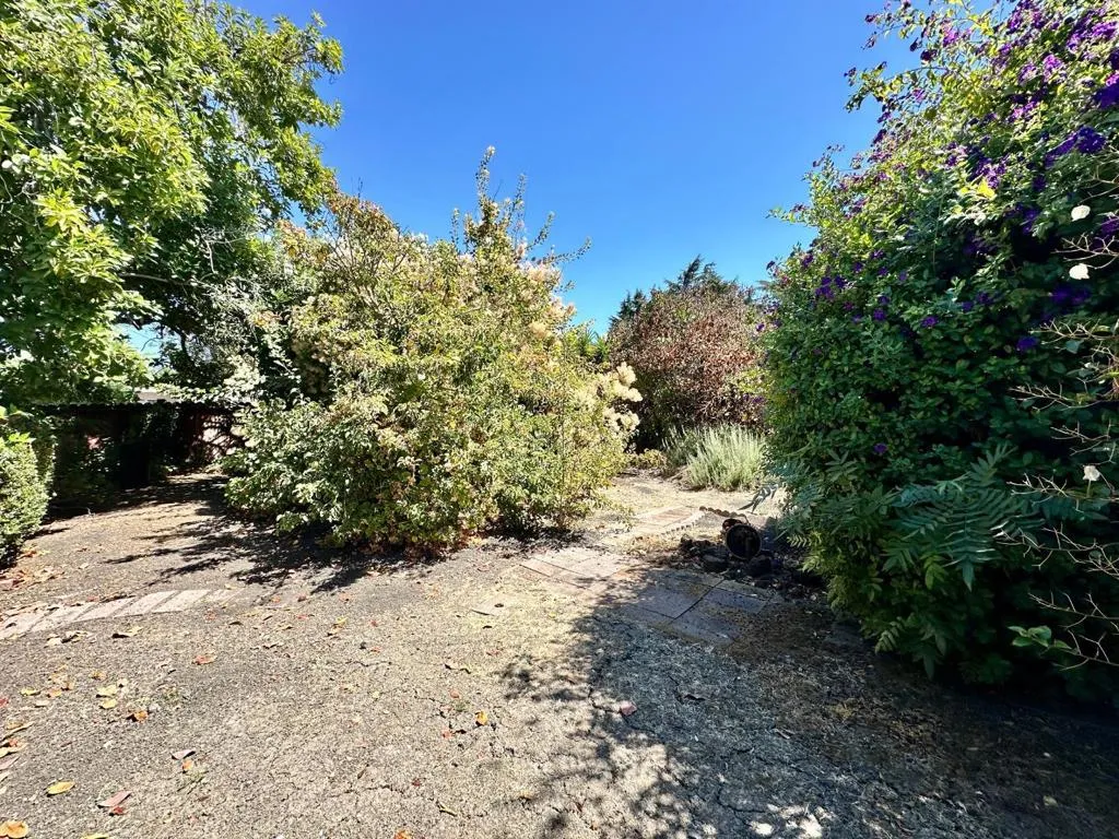 1077 Washington Street, Mountain View, California 94043 home-pic-1