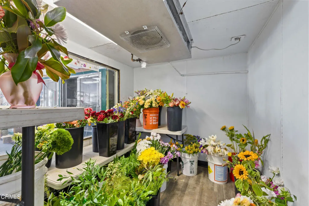 Shop Interior