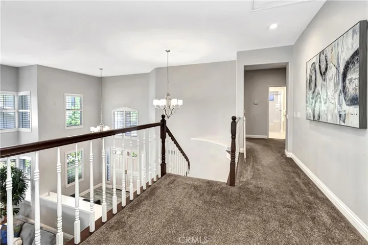 beautiful gray plush carpeting