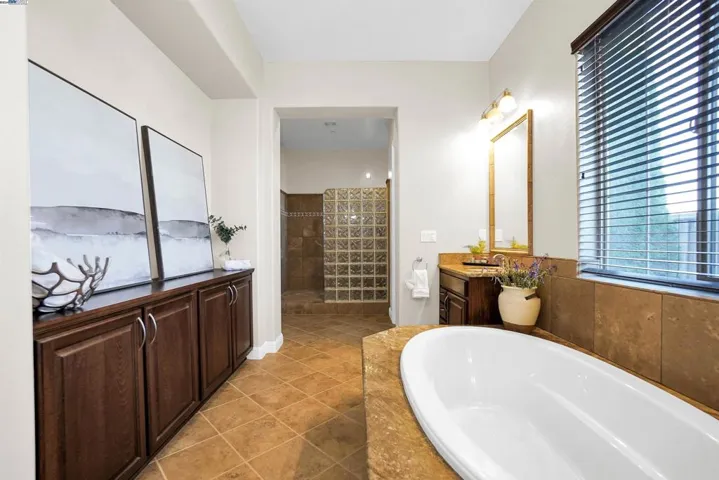 10111 Lilly Pad Lake Ct, Dublin, California 94568