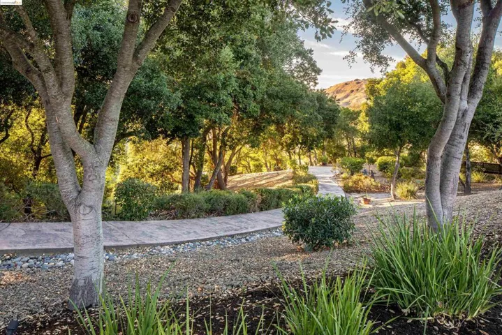 621 Bear Oaks Ln, Martinez, California 94553