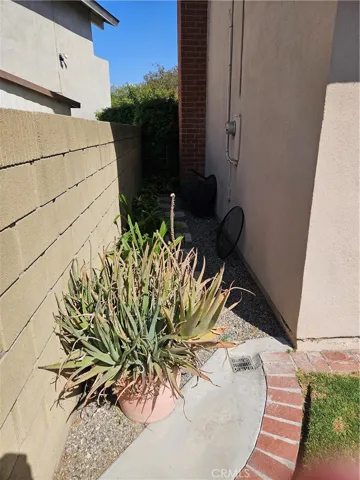 East side yard.
