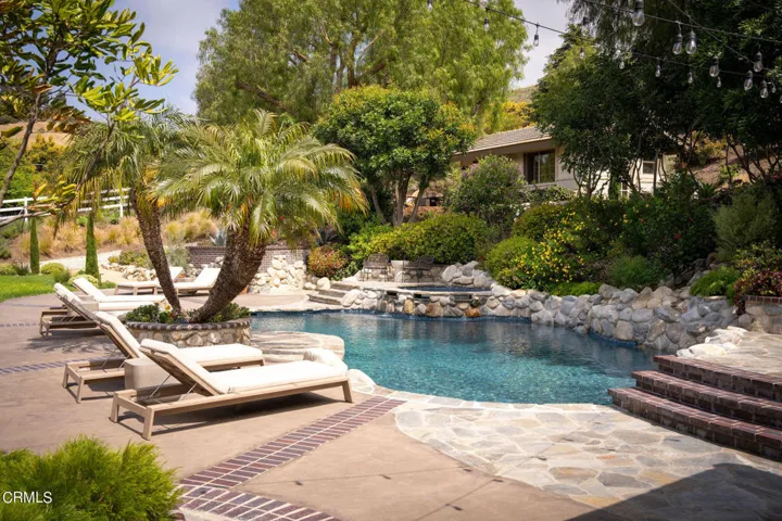 Resort Style rear yard
