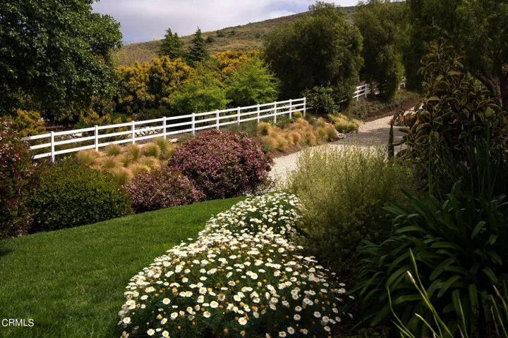 Lush Landscape