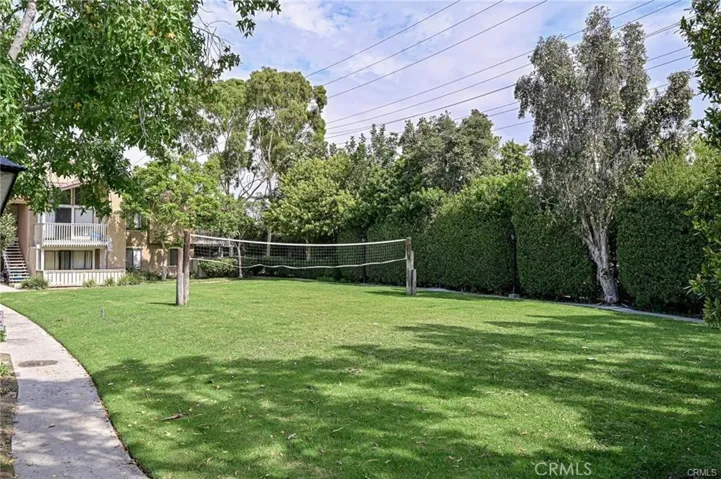 Grass Volleyball Court
