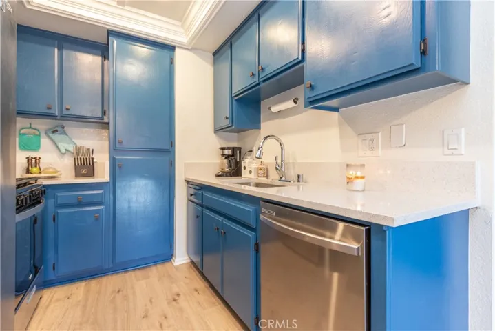 Stainless steel appliances and quartz counters.