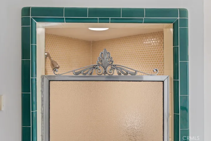 Shower door accent