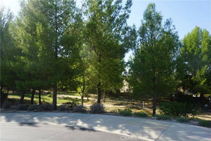 Nature Trails at the End of the Block