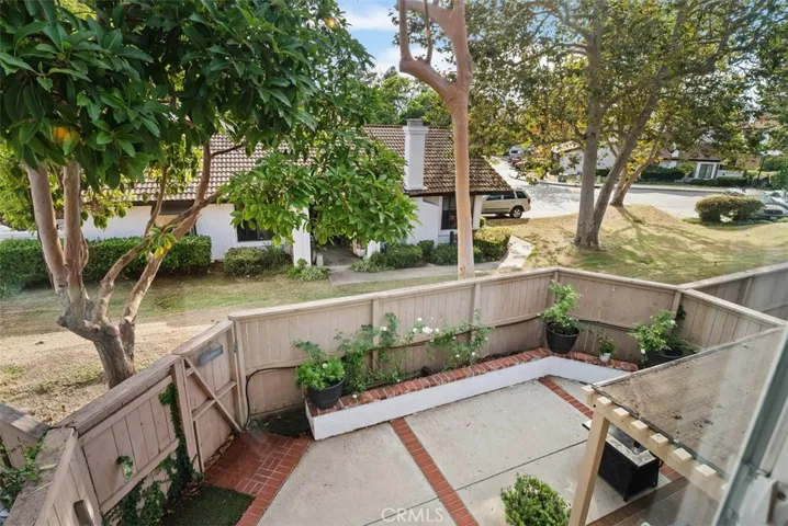 Open Space & Backyard