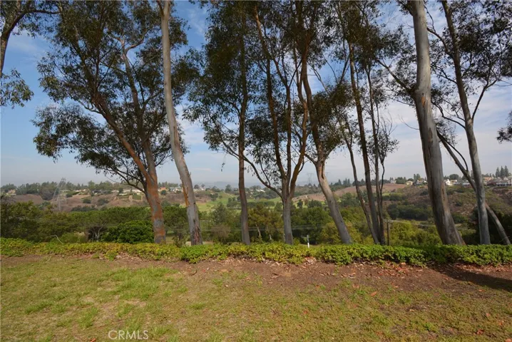 6543 E Camino Vista 2, Anaheim Hills, California 92807