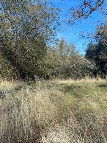 0 Digier Road, Lebec, California 93243