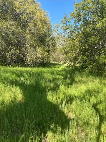 0 Digier Road, Lebec, California 93243